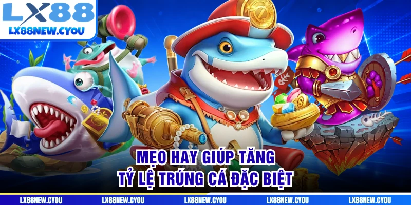 Mẹo hay giúp tăng tỷ lệ trúng cá đặc biệt